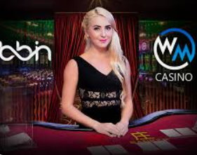 新kiyaun网页版登录2024最新版