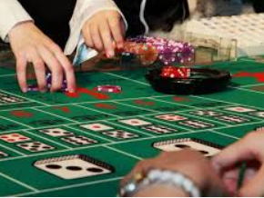 新kiyaun网页版登录免费版